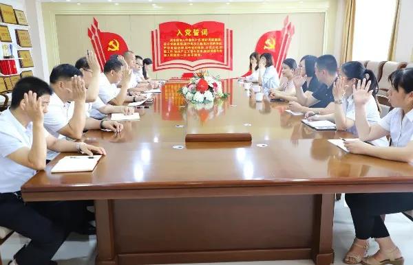 長田實(shí)業(yè)黨支部召開入黨積極分子確定為發(fā)展對(duì)象會(huì)議