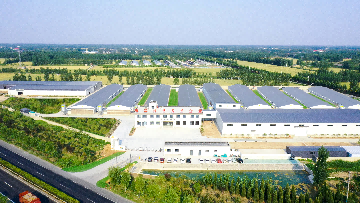 【長(zhǎng)田重磅】以“0531標(biāo)準(zhǔn)”，筑牢舌尖安全防線！